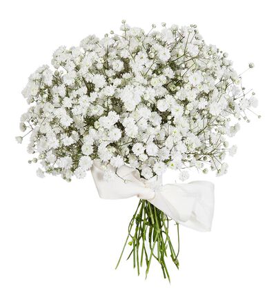 Brudepikebukett med brudeslør Brudepikebukett med brudeslør